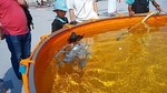 20150801_145515.jpg