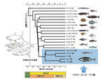 research_0904_fig_2.jpg